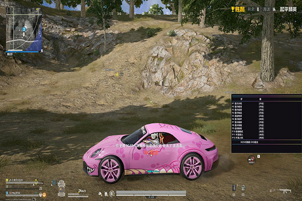 辅助软件自动瞄准效果